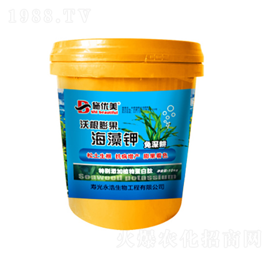 �ֺ���������-��������