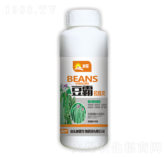 豆霸拉直靈-旭霸生物