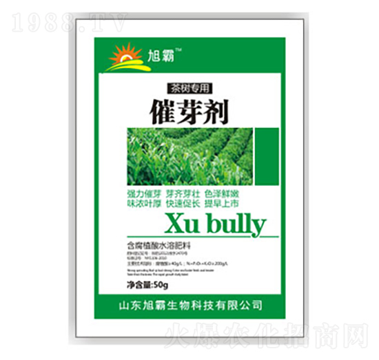 ��ѿ��-�������