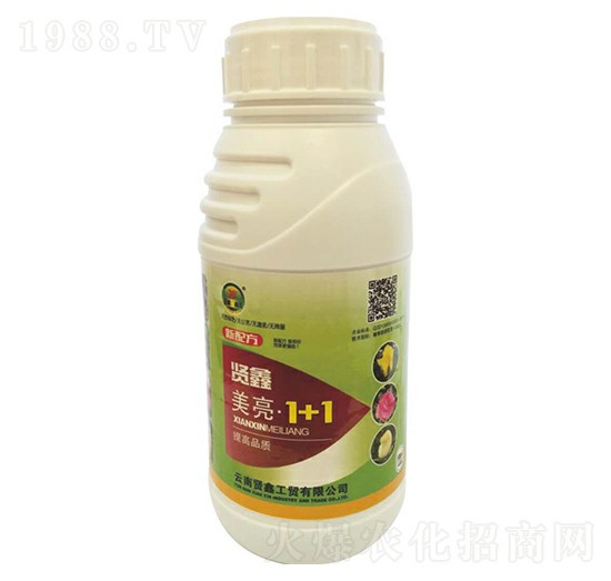 ����1��1-�t��