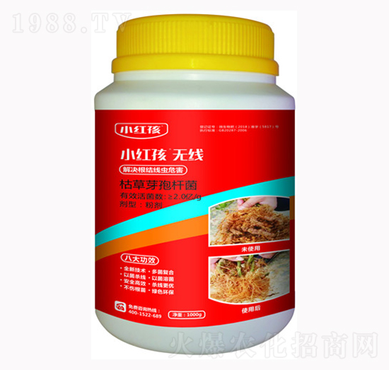 �ݲ�ѿ�ߗU��-С�t��-�f���r��