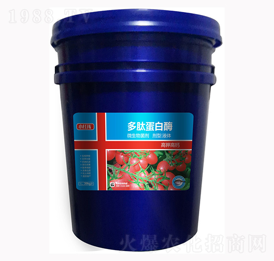 ���ĵ���ø-С�t��-�f(w��n)���r(n��ng)��