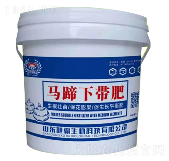 �R������-�������