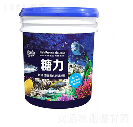 ����-�������