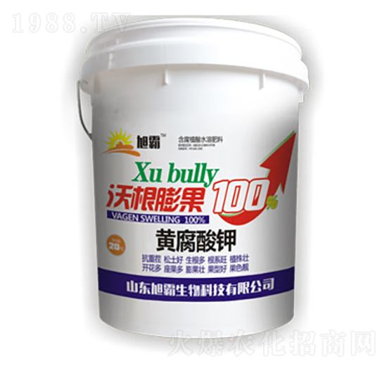 �S������ָ����100-�������