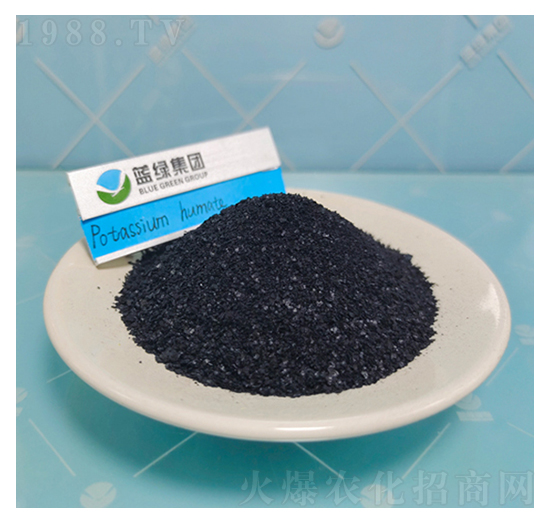 ��ֳ���-����˹����