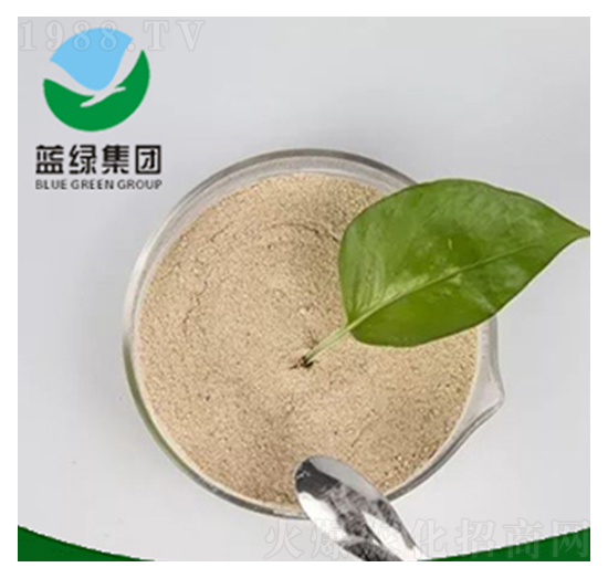 �������-��(��i)��˹����