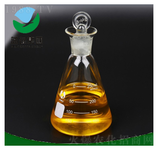 �������}-����˹����