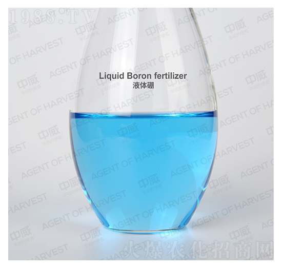 Һ�w��-��(��i)��˹����