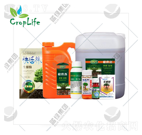 �ЙC(j��)��-����˹����