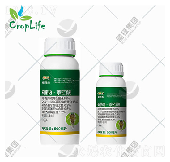 ���c������-����˹����