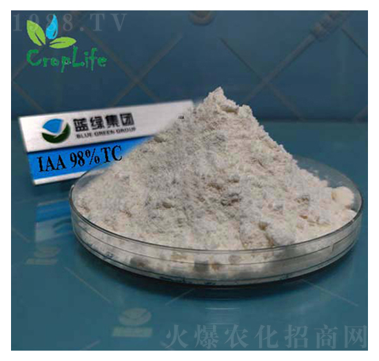 ��������-��(��i)��˹����