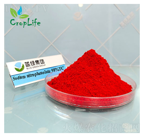 �������c-����˹����