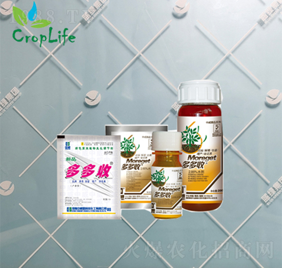 ���c��������-�����-��(��i)��˹����