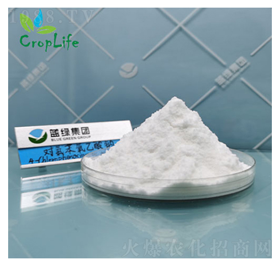 ���ȱ�������4-CPA-����˹����