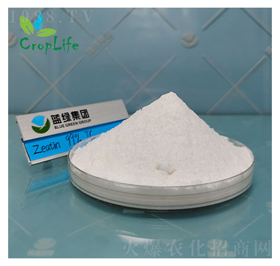 ������-����˹����