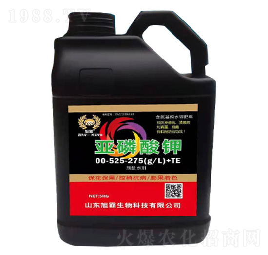 �������00-525-275+TE-�������