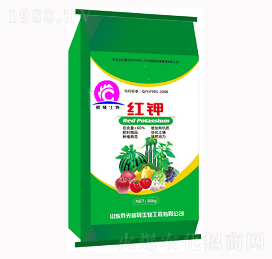 �t�-��������