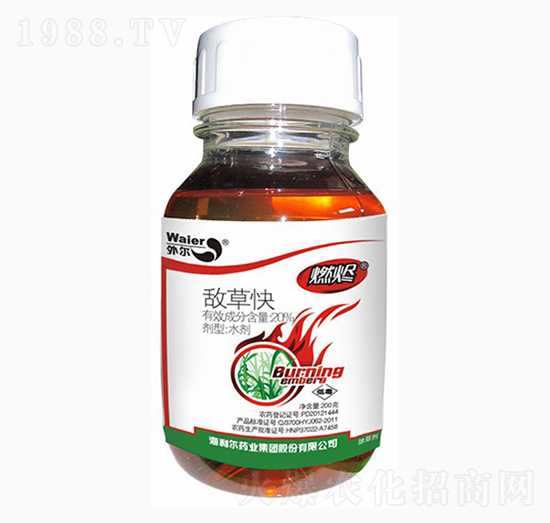 20%���ݿ�-ȼ�a-������