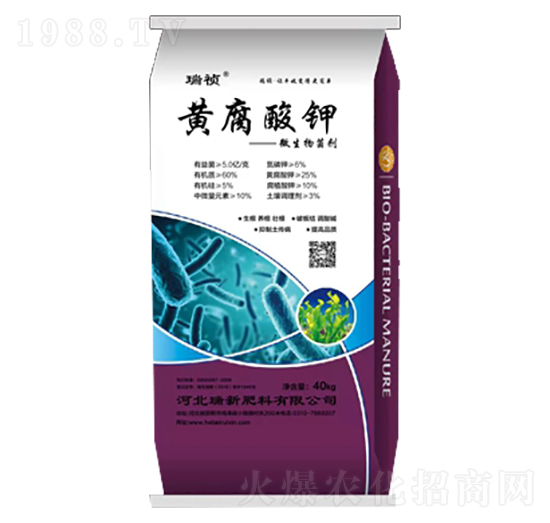 �S�����΢�������-��-���·���