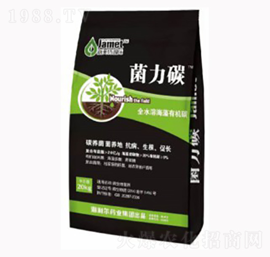 �����ЙC(j��)̼-����̼-�W��˹