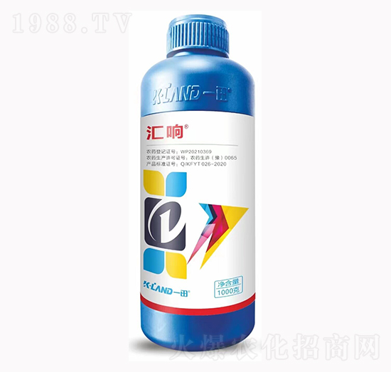 9%���������x�-�R�-һ������