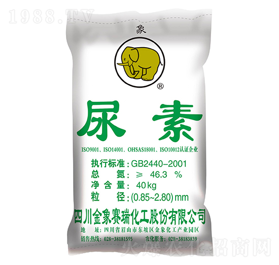 ����-����ِ��