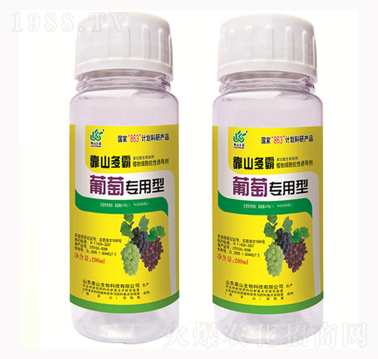 ���ь�����-��ɽ����