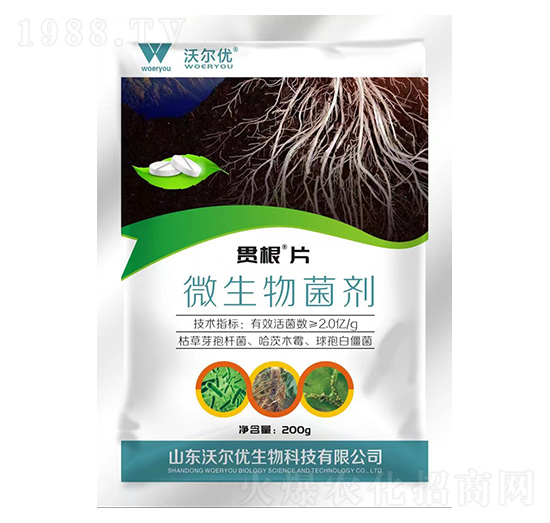 ΢�������-؞��Ƭ-�֠���(y��u)