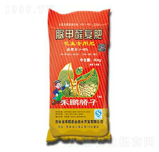 �����������ȩ��(f��)��14-16-16-���i���-���i�r(n��ng)�I(y��)