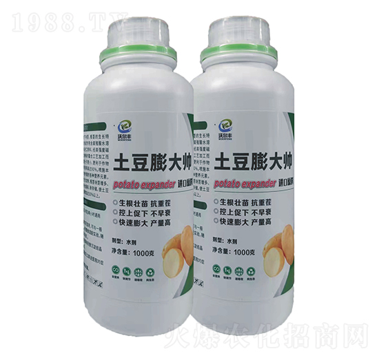 �������-�֠��S