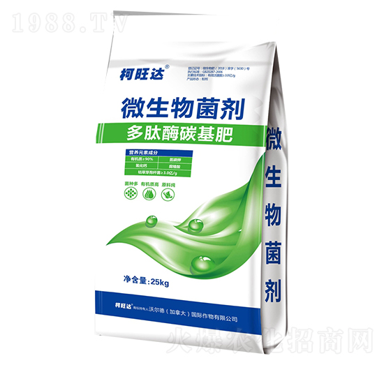 ����ø̼����-�����_(d��)-�֠���