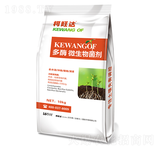 ��ø΢�������-�����_-�֠���