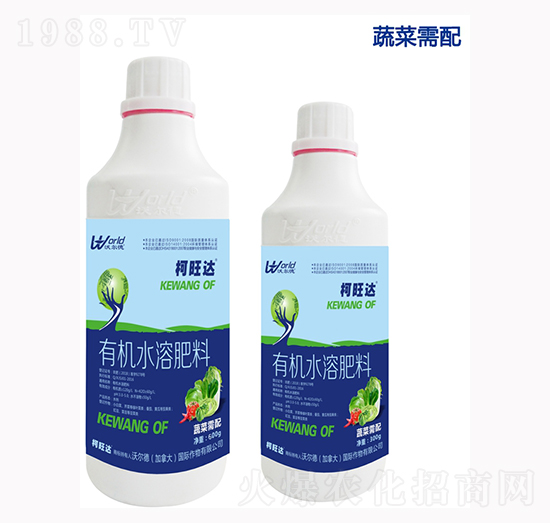 �߲ˌ����~���-�����_(d��)-�֠���