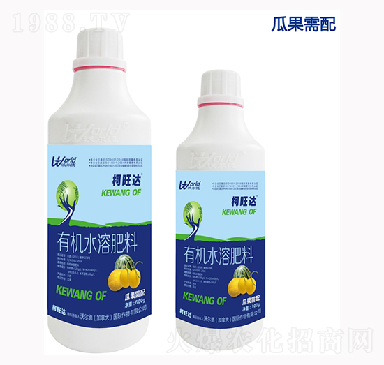 �Ϲ������~���-�����_(d��)-�֠���