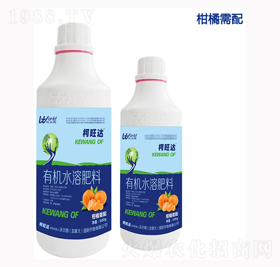 ���ٌ����~���-�����_(d��)-�֠���