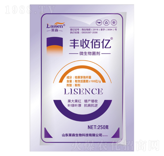 100�|΢�������-�S�հۃ|-�Rɭ����