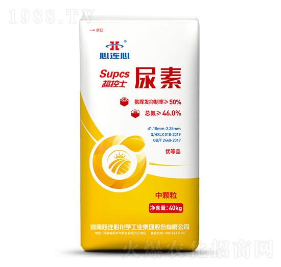 ����ʿ����-���B��