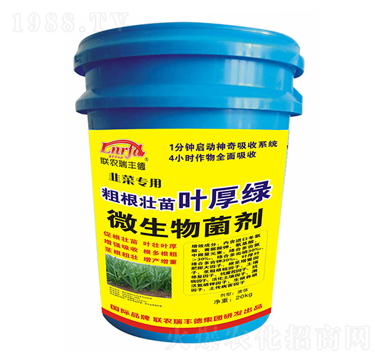 �²ˌ�(zhu��n)�ôָ������~��G-(li��n)�r(n��ng)���S��