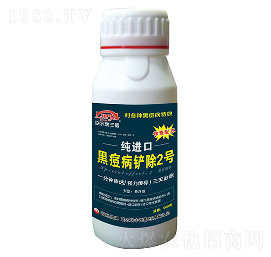 ���M(j��n)�ںڶ����P��2̖(h��o)���Ҹ�����-(li��n)�r(n��ng)���S��