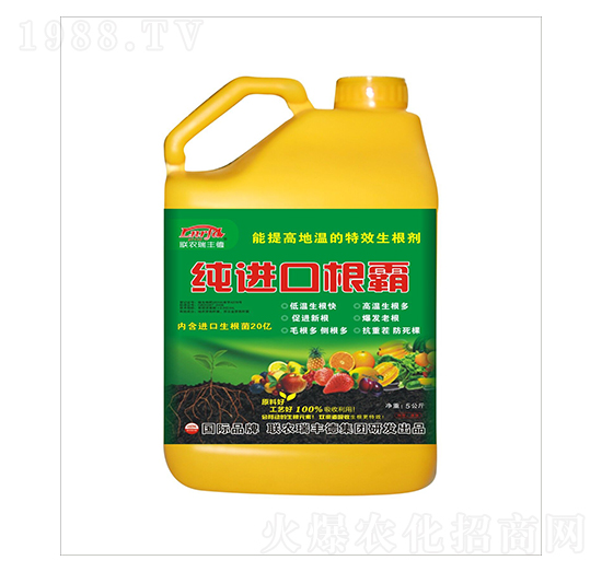 ������-���M(j��n)�ڸ���-���S��