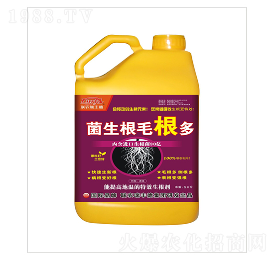 ������-������ë����-���S��