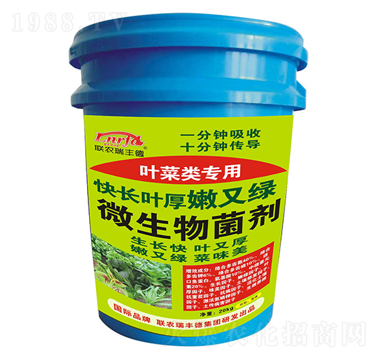 ΢�������-�~�����-���L�~�����־G-���S��