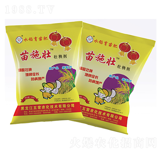 ��ʩ�щ��턩-�峣