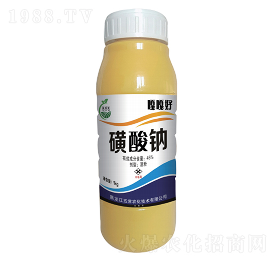 �����c-�¸º�-�峣