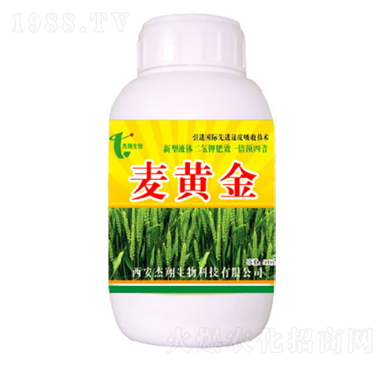 麥黃金-杰翔生物