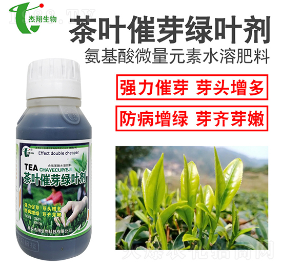 茶葉催芽綠葉劑-杰翔生物