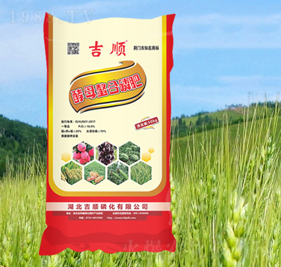 ��ĸ�����׷�-���