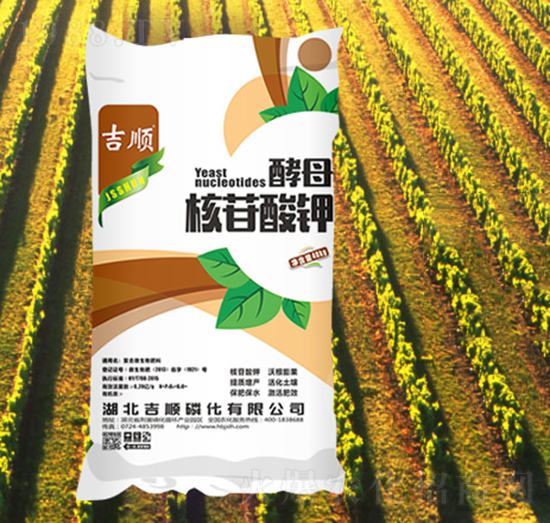 ��ĸ�������-���