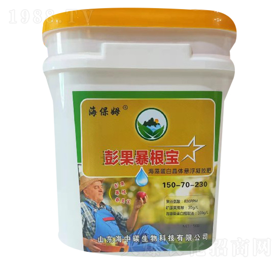 ���������������-����ķ-����̼����